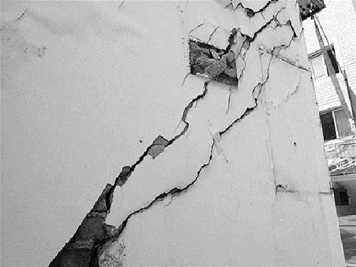 1533278733639697.jpg 2.jpg