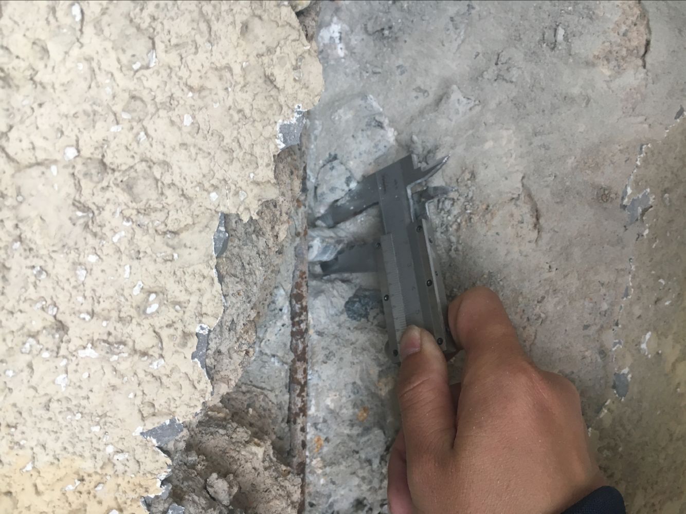 1536104543122880.jpg QQ圖片20161201222237.jpg