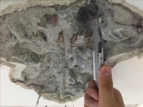 1536123248877628.jpg IMG_5706.JPG