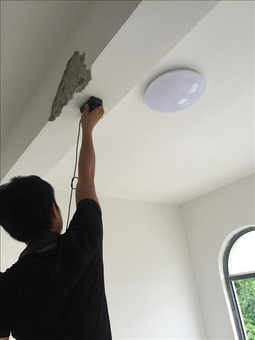 1536123271980479.jpg IMG_7263.JPG