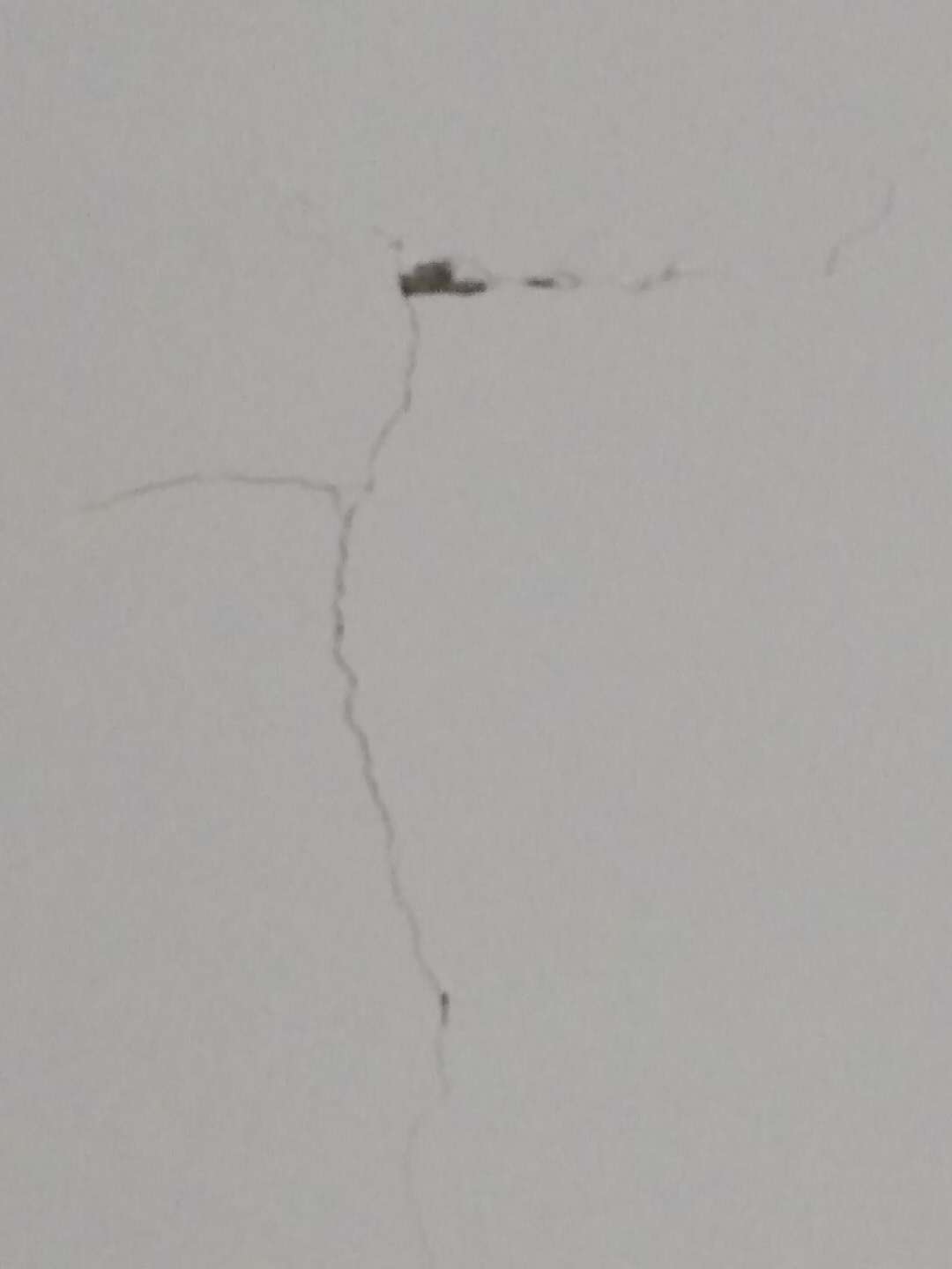 1536123798614745.jpg 485988625504346018.jpg