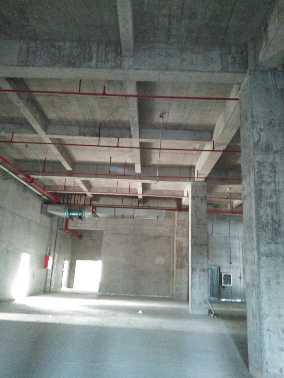 1536125055874504.jpg 280471861881095910.jpg