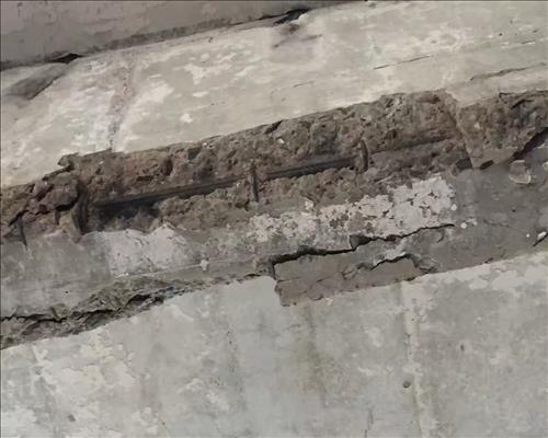 1536316563492098.jpg 新建文件夾 (5)mmexport1501405728619.jpg