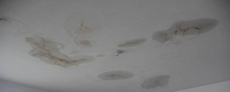 樓板滲水由誰負責(zé)