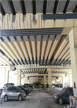 1、東南西環(huán)東圃互通立交南主線橋等2座四類橋梁加固維修工程 (3).jpg