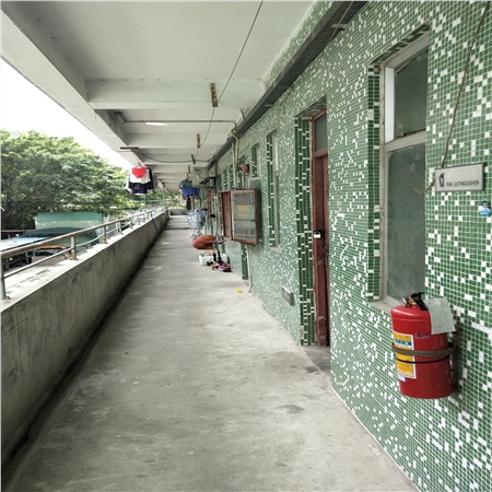 1612337715636410.jpg IMG_20190705_155415.jpg