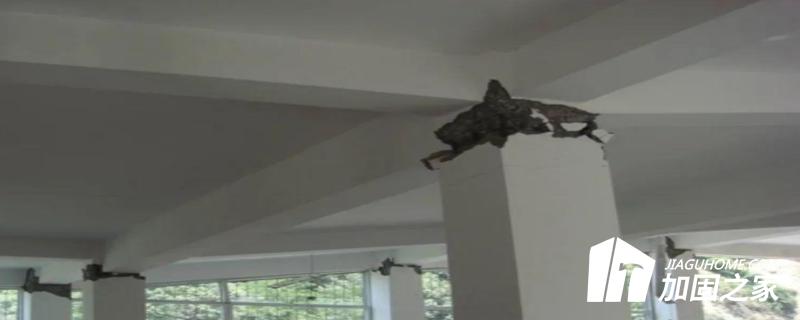 什么是強柱弱梁