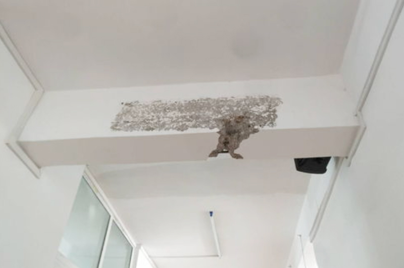 建筑沒有結(jié)構(gòu)圖紙如何進行房屋檢測鑒定?