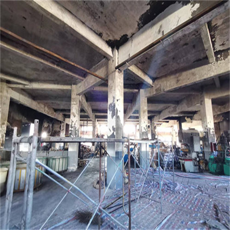 1721120485502733.jpg 1663119893958632.jpg