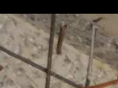 云浮百合無(wú)梁柱帽加固工程