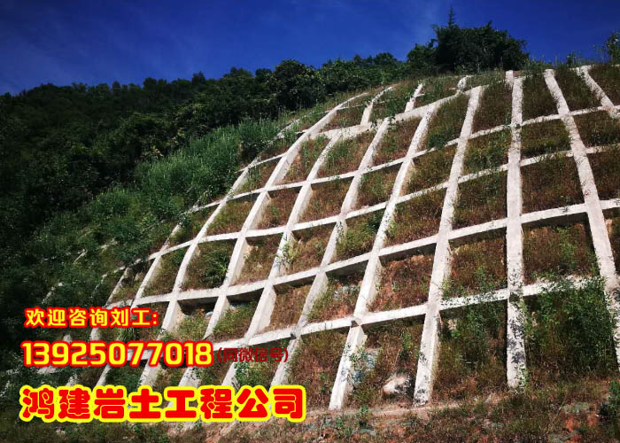 1527772337320940.jpg 125.jpg